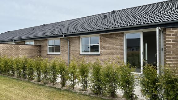 img_1720 img_1720